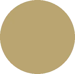 Brown Circle - No Background PNG