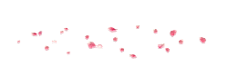 Pink Petals - falling - romantic - Lossless PNG