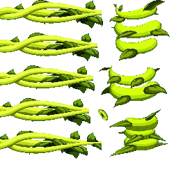 Beanstalk Vine - growth - Transparent Layer PNG