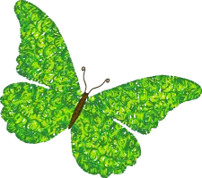 Green Butterfly - Free for Commercial Use PNG