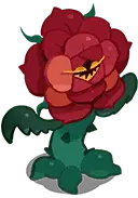 Rose - smile - High Resolution PNG