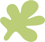 Green Abstract Pattern - color - Transparent Layer PNG