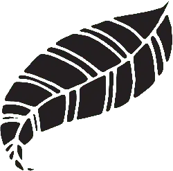 Leaf Vein - leaf - vein - No Watermark PNG
