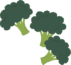 Broccoli - Transparent Background PNG - food