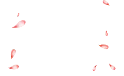 Falling Cherry Blossom Petals - background - High Resolution PNG