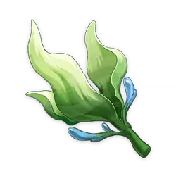 Water Plant - Transparent Layer PNG