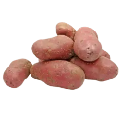 Red Potato - nutritious - High Resolution PNG