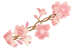 Pink Cherry Blossom Branch - plant - Transparent Layer PNG