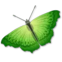 Green Butterfly - wings - Lossless PNG