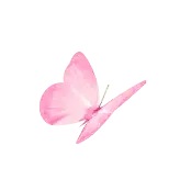 Pink Butterfly - insect - beautiful - Lossless PNG