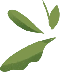 Three Leaves - minimalism - PNG Images