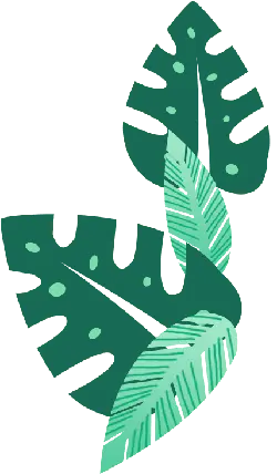Green Plant Leaves - tropical - High Resolution PNG