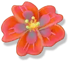 Red Flower - petal - flower - Transparent Layer PNG