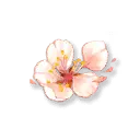 Peach Blossom - Curated PNG - Lossless PNG