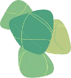Green Leaves - life - nature - Free Download PNG