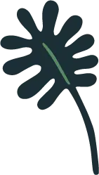 Green Leaf - plant - simple - Transparent Background PNG