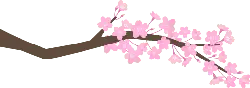 Cherry Blossom Branch - nature - Popular Download PNG