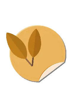 Leaf Sticker - nature - Transparent Background PNG