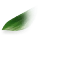 Green Beam - light source - High Resolution PNG