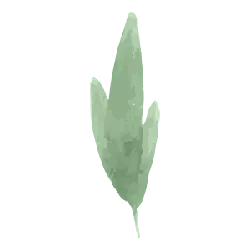 Clover - Transparent Layer PNG - nature