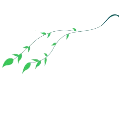 Vine Plant - nature - Fast Download PNG