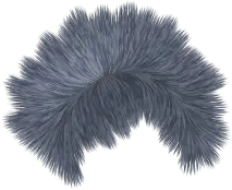 Gray Blue Feather - gray - Transparent Layer PNG