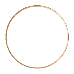 Copper Ring - decoration - No Background PNG