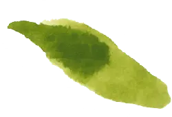 Green Drop - green shape - Free PNG