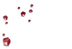 Red Lanterns - night sky - Transparent Layer PNG