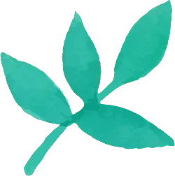 Green Leaf - plant - Popular Download PNG