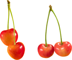 Cherry - fresh - tasty - High Resolution PNG