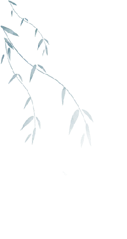 Blue Vine - nature - Transparent Background PNG
