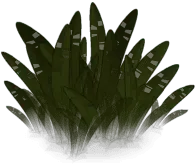 Grass Patch - growth - green - Transparent Layer PNG