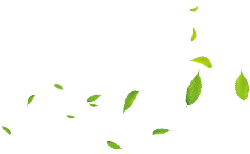 Leaves Falling - background - PNG