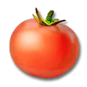 Tomato - circular - Fast Download PNG