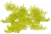 Flowers in Grass - green - Free PNG
