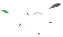 Leaves and Clouds Falling - nature - PNG Images
