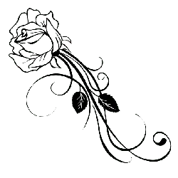 Black Owl - night predator - No Watermark PNG