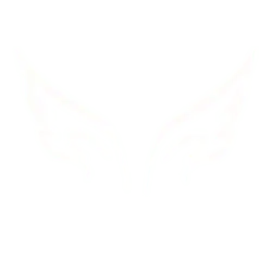 White Wings - wings - Free Download PNG