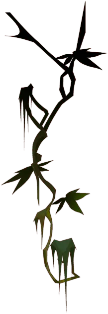 Vine Plant - growth - High Download Count PNG