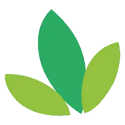 Clover - environmental protection - healthy - High Resolution PNG