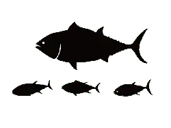 Mackerel - outline - No Background PNG