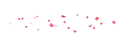 Pink Petals - Free for Commercial Use PNG - beautiful