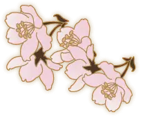 Plum Blossom - Fast Download PNG - High Quality PNG