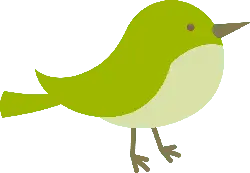 Green Bird - Curated PNG