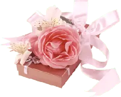 Pink Rose Box - box - Free Download PNG
