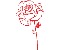 Red Rose - line art - plant - No Watermark PNG