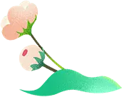 Pink Flower - pink - growth - PNG Images
