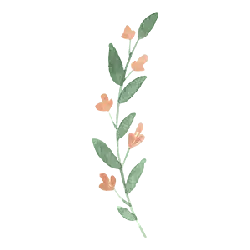 Flower Branch - orange - PNG