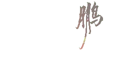 Peng Bird - legend - Transparent Background PNG